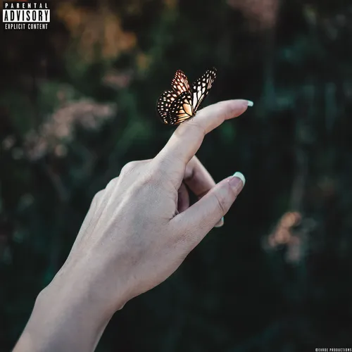 Butterflies Cover Art